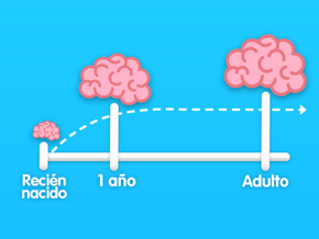 Necesidad de hierro en bebés