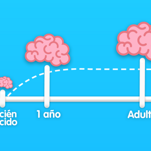 Necesidad de hierro en bebés