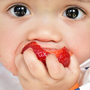 ¿Estás empezando a darle a tu bebé comida? Sigue nuestra lista de alimentación complementaria guiada o Baby Led Weaning (BLW)